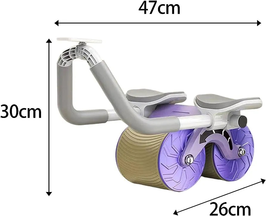Ab Roller