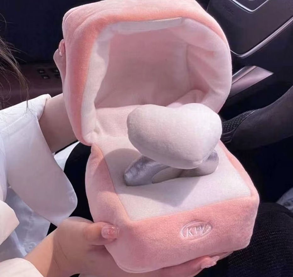Pink plush case with ring