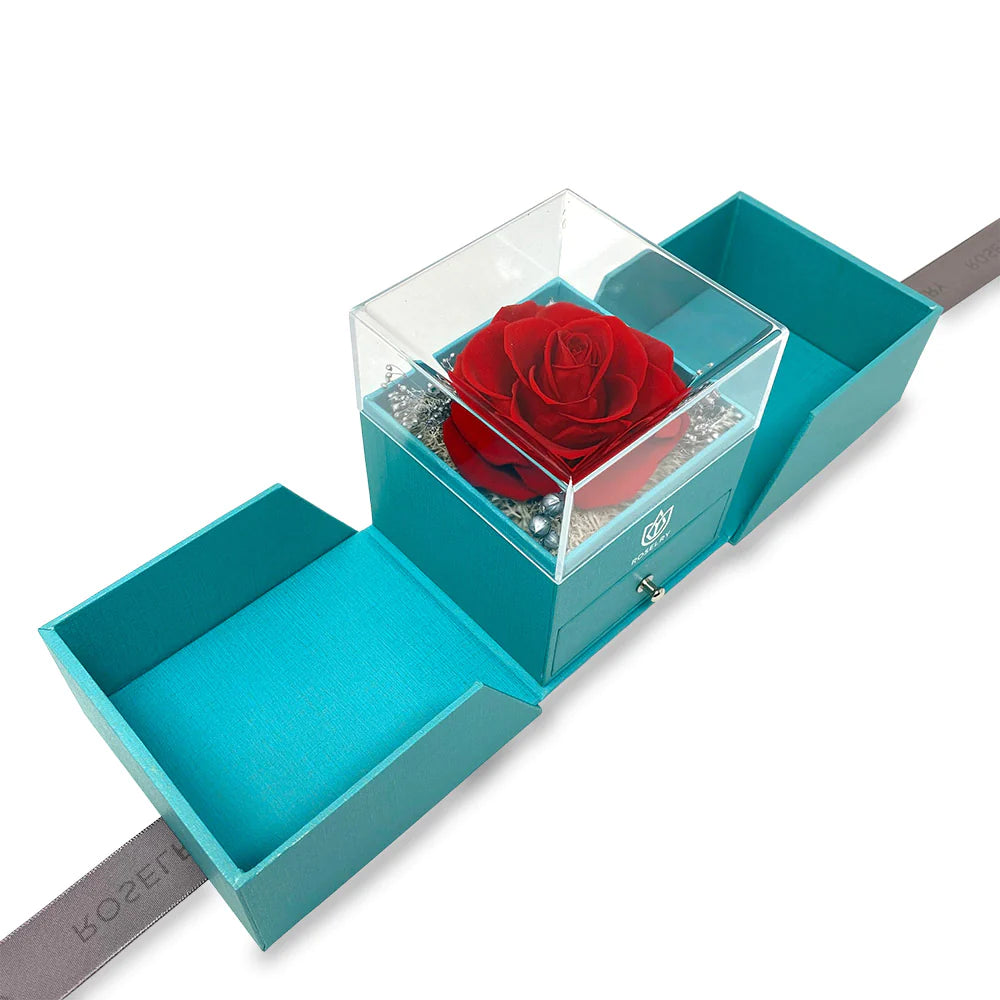Blue Love box + I love u in 100 languages